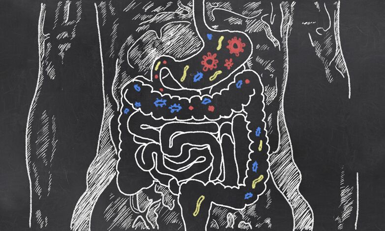Parásitos no tracto gastrointestinal dunha persoa