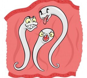 que parasitos poden vivir no corpo humano