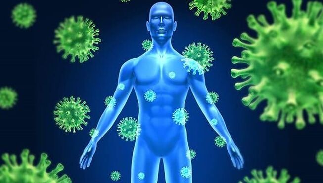 diminución da inmunidade debido a parasitos